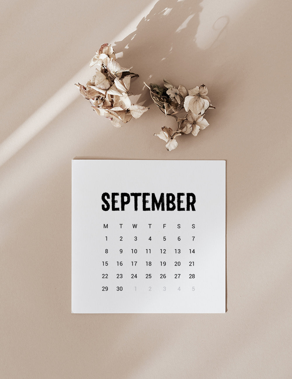2025 Calendar | 4x4 | 3x3 | 2x2 | Printable Journaling and Planner Cards | Printable Mini Calendar 2025 | Bujo Calendar 2025 | Minimal Aesthetic | Clean Design | Monday Start + Sunday Start | PDF + JPEG | 06 | Print it out or use it digitally with a digital planning app.