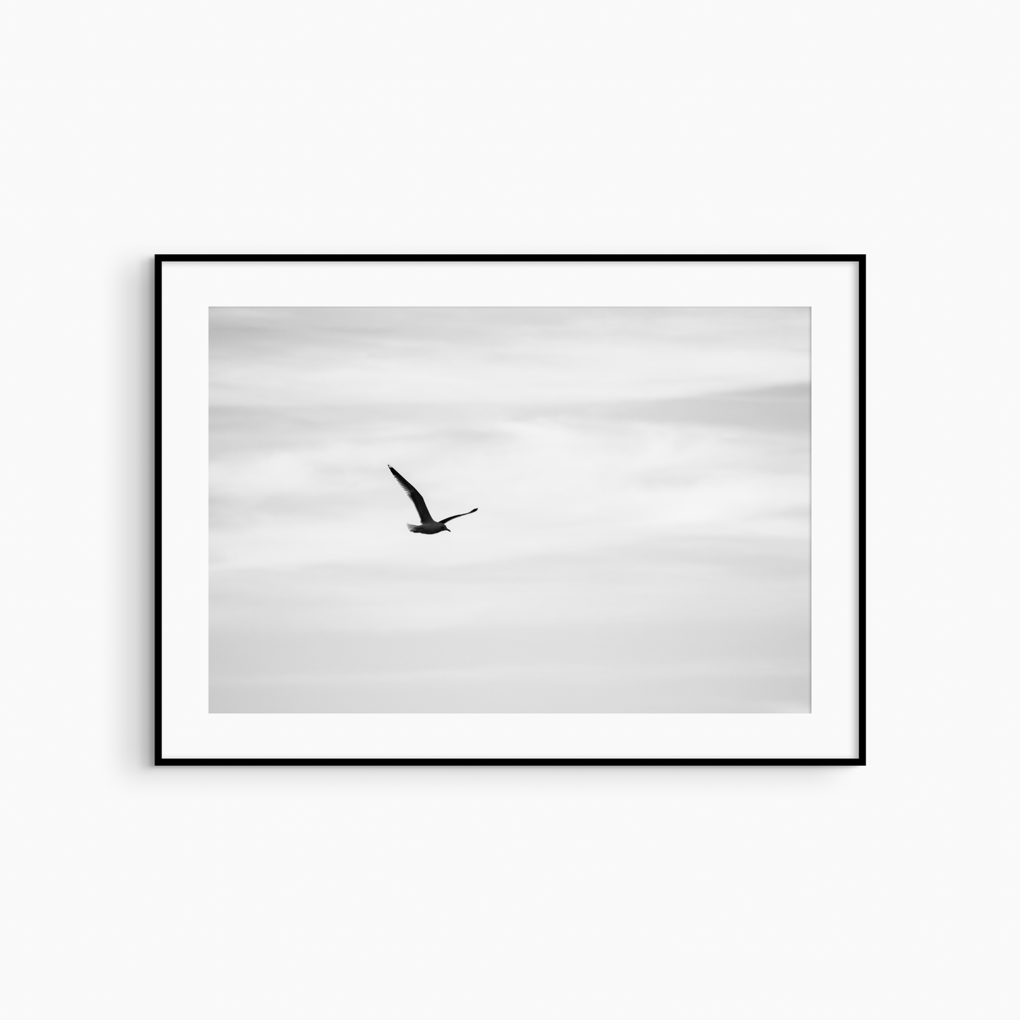 Printable seagull photography, black and white bird in flight wall art, minimalist coastal print