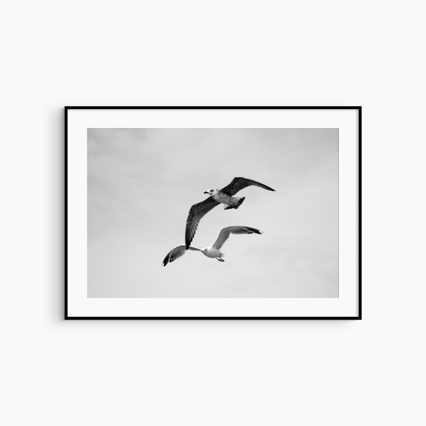 Printable seagulls flying photography, black and white coastal bird wall art, two seagulls print