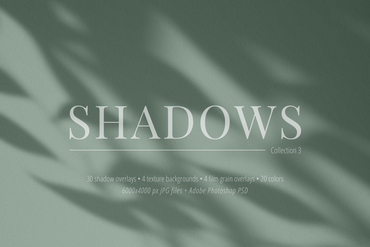 30 SHADOW OVERLAYS 03 Botanical Shadows Plants Branches Leaves