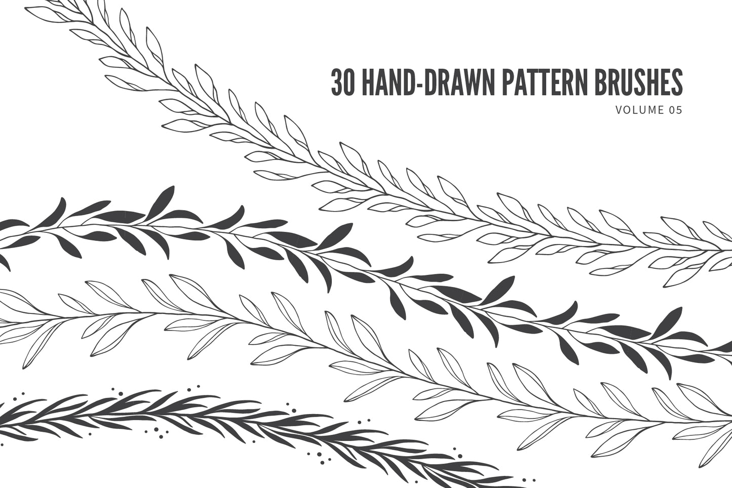 Hand Drawn Vector Pattern Brushes 05 Botanical Floral Leaves Branches Foliage