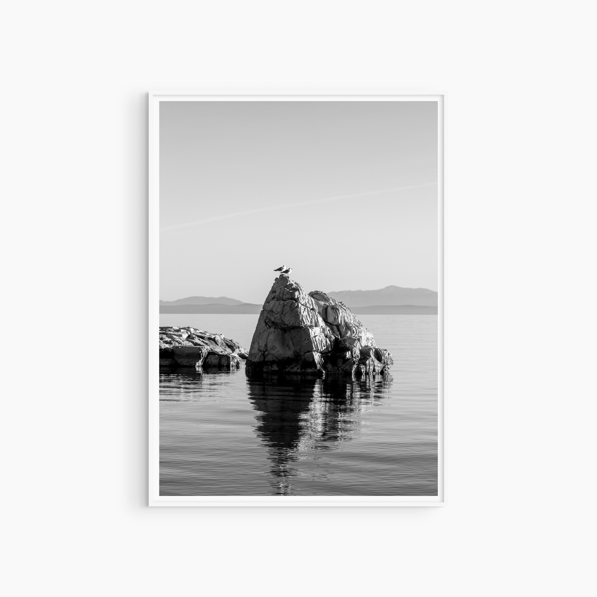 Seagull on rock photography print, black and white coastal wall art, moody seascape printable