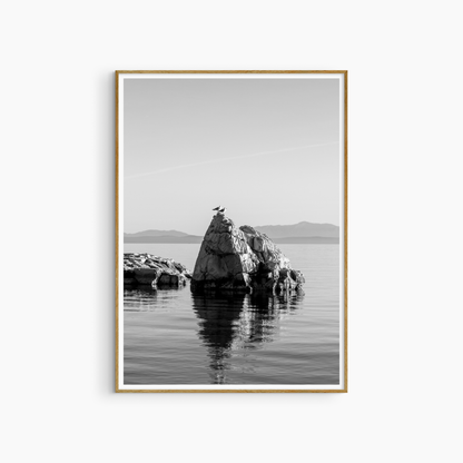 Minimalist seascape print, black and white seagull wall art, dramatic coastal photography printable