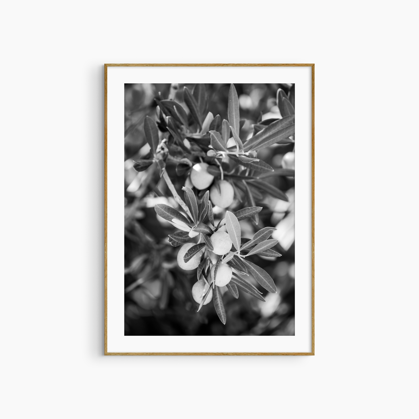 Black and white olive branch photography print, Mediterranean botanical wall art, printable nature photography