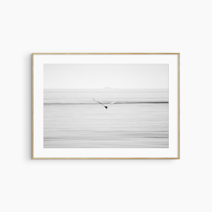 Seagull flying over sea photography print, black and white coastal wall art, printable bird print