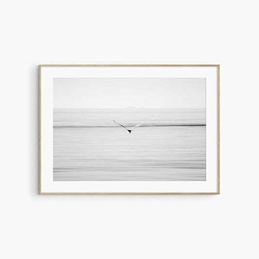 Seagull flying over sea photography print, black and white coastal wall art, printable bird print