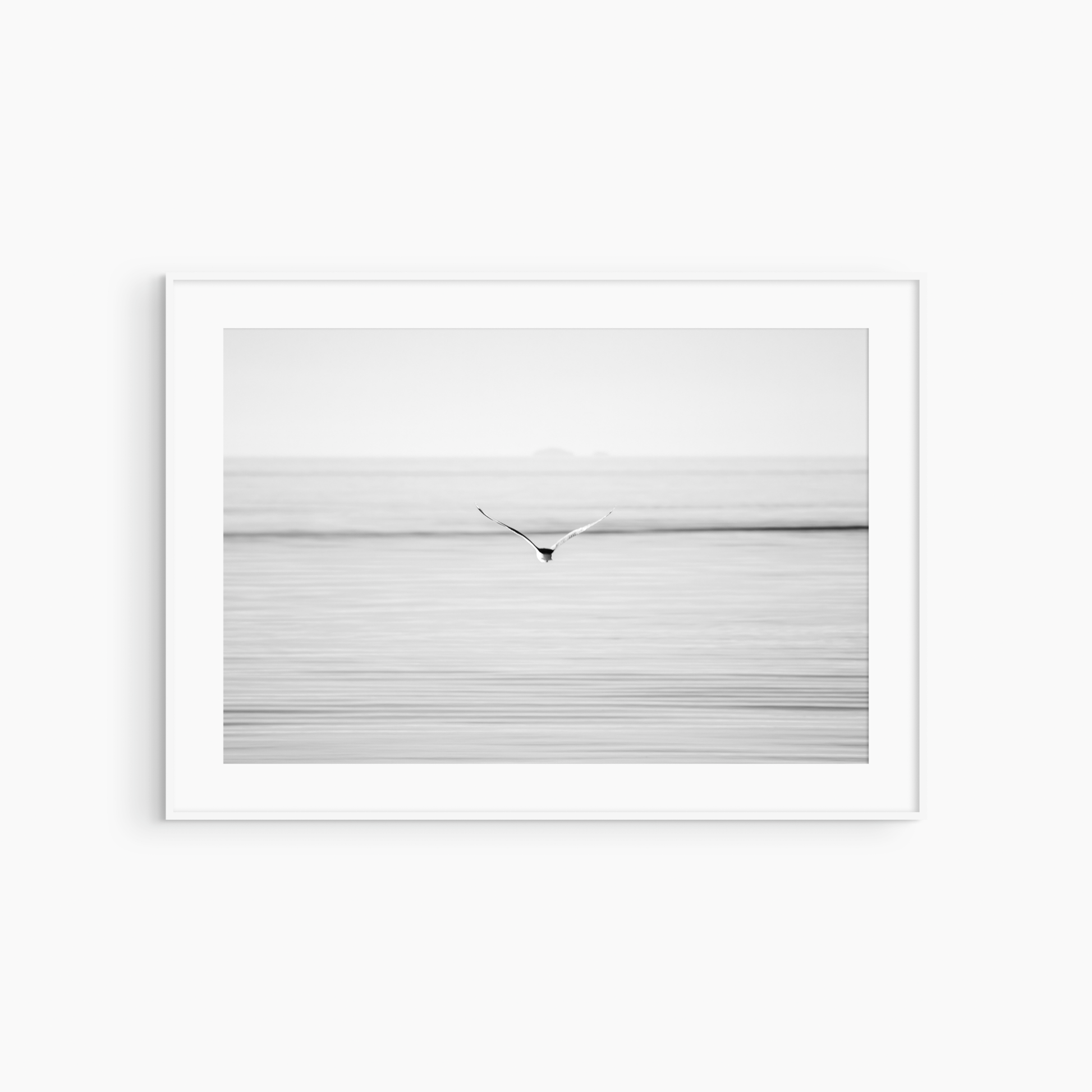 Black and white seagull in flight photography print, minimalist coastal bird wall art, open sea print