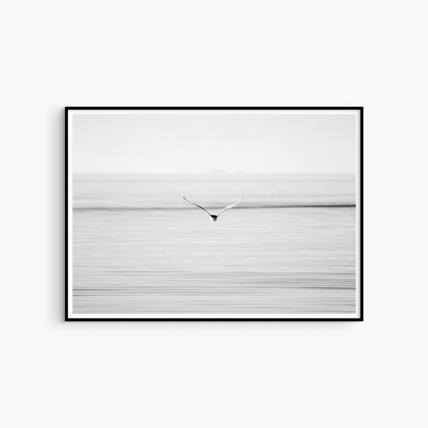 Printable bird photography, black and white seagull wall art, minimalist ocean print