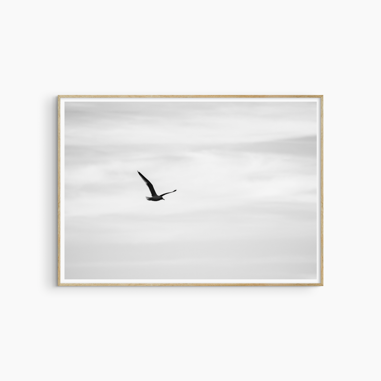 Seagull flying against pale sky, black and white minimalist wall art, printable bird photography