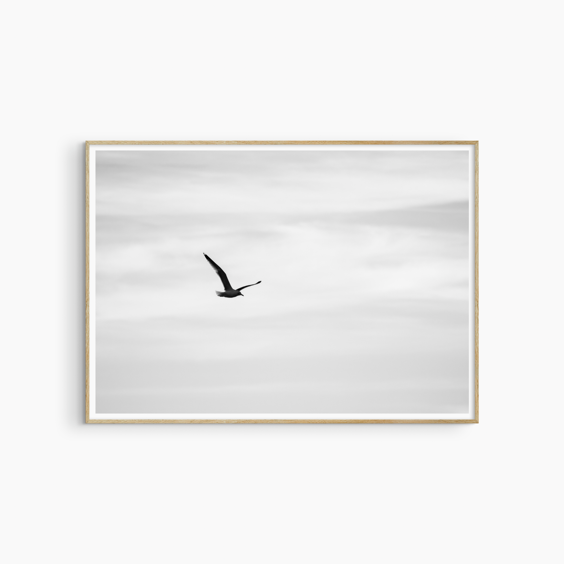 Seagull flying against pale sky, black and white minimalist wall art, printable bird photography