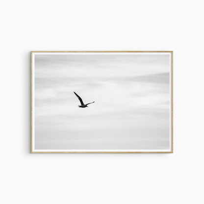 Seagull flying against pale sky, black and white minimalist wall art, printable bird photography