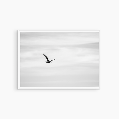 Black and white seagull in flight print, minimalist bird wall art, pale sky photography
