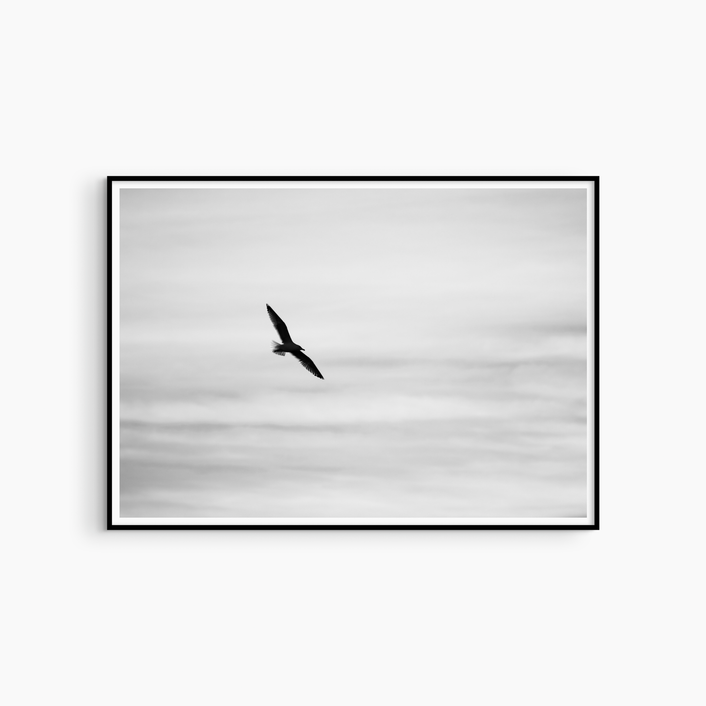 Seagull silhouette photography print, black and white coastal sky wall art, minimalist bird print