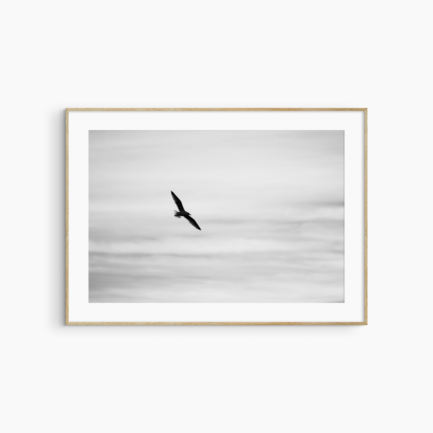 Printable seagull in flight photography, black and white bird silhouette wall art, coastal print