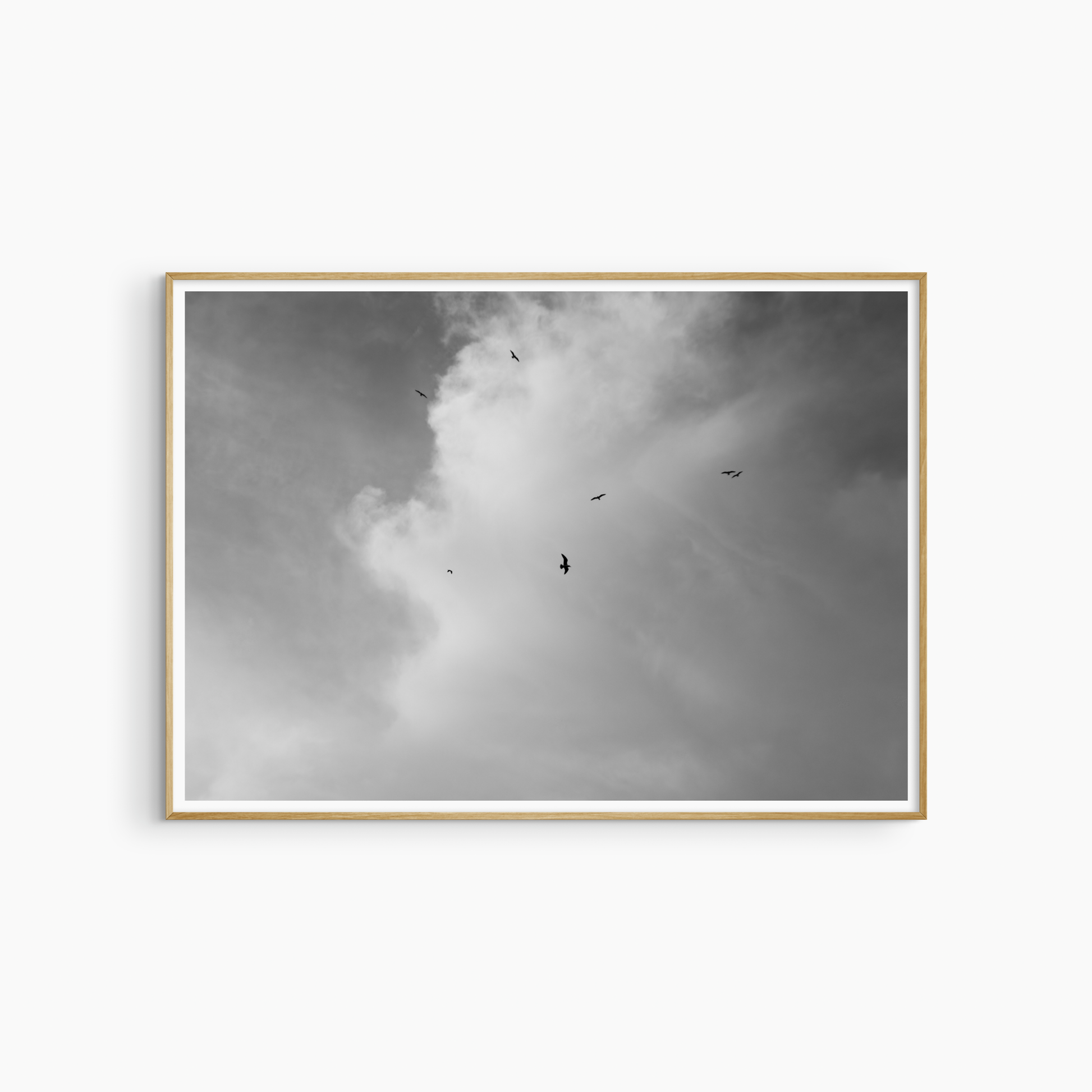 Minimalist seagulls and clouds photography printable, black and white bird wall art, open sky print