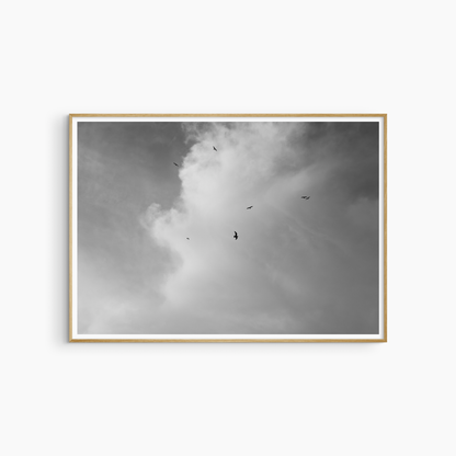 Minimalist seagulls and clouds photography printable, black and white bird wall art, open sky print