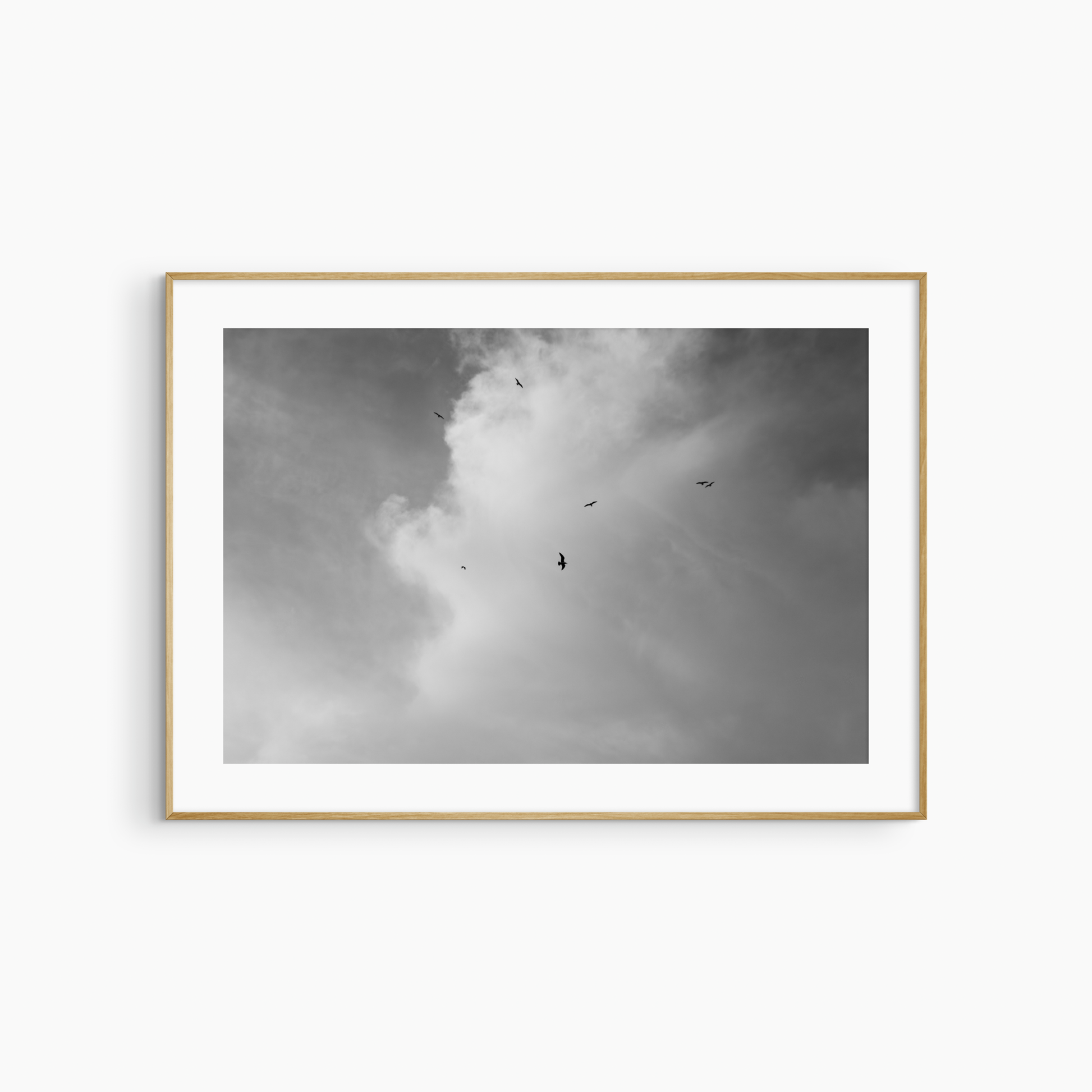 Black and white seagulls in flight photography print, dramatic sky wall art, coastal bird print