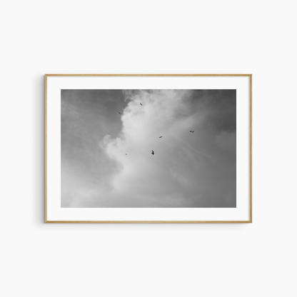 Black and white seagulls in flight photography print, dramatic sky wall art, coastal bird print