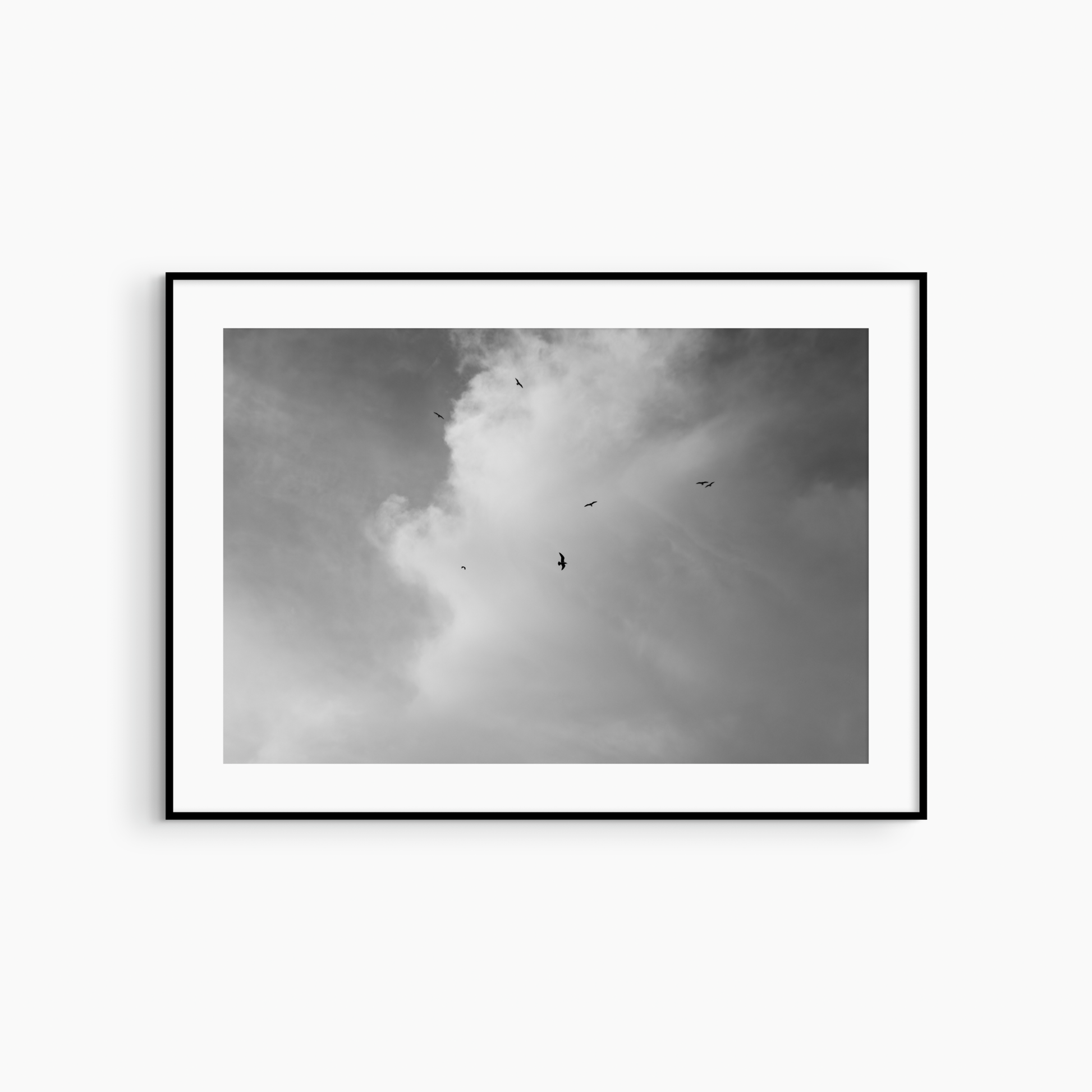 Printable seagulls and sky photography, black and white coastal bird wall art, cloudscape print