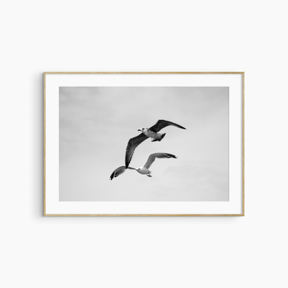 Minimalist seagulls flying photography printable, black and white bird wall art, dynamic coastal print