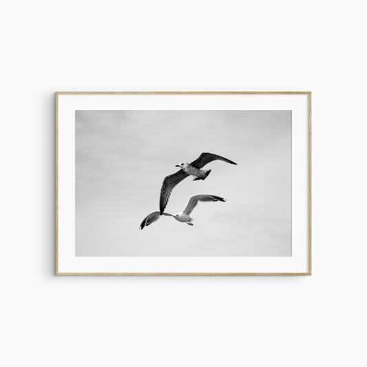 Minimalist seagulls flying photography printable, black and white bird wall art, dynamic coastal print