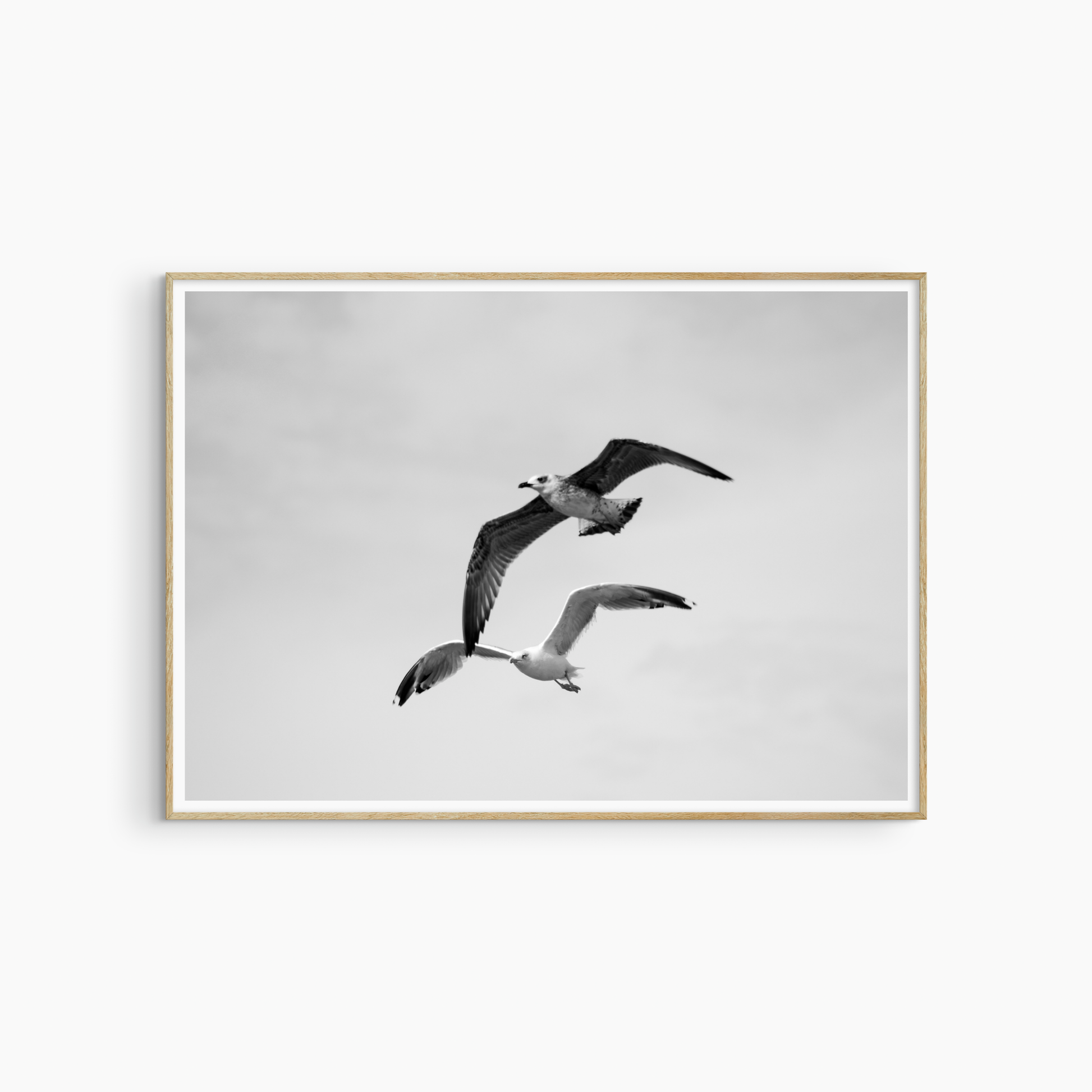 Black and white two seagulls flying photography print, coastal bird wall art, dynamic seagull print