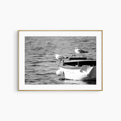Black and white seagulls on fishing boat photography print, nautical coastal wall art, bird and boat print