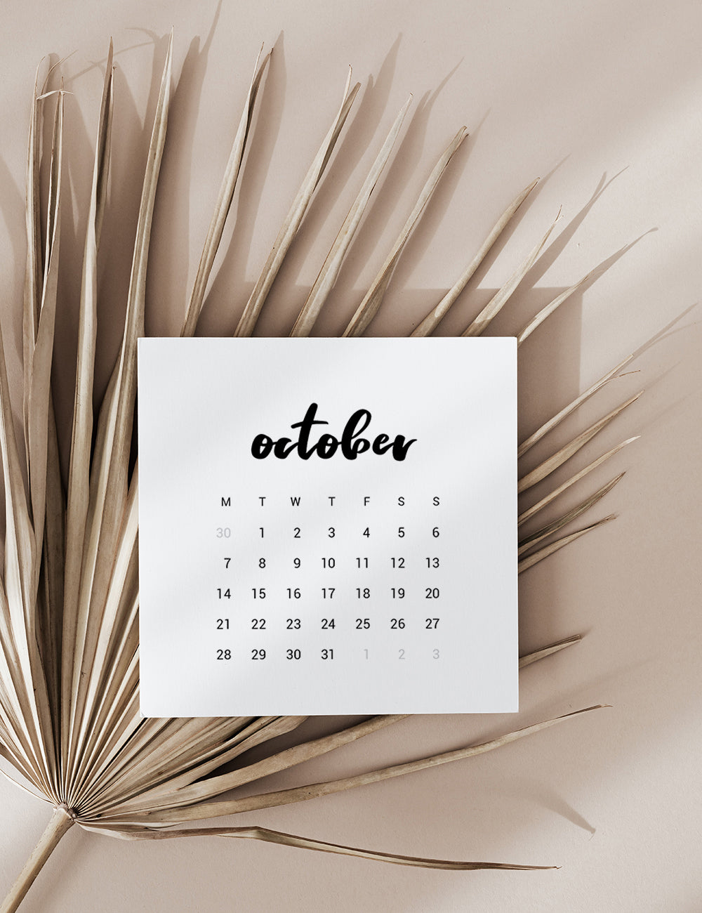 Free Printable 2024 Bullet Journal Mini Calendars - Lovely Planner