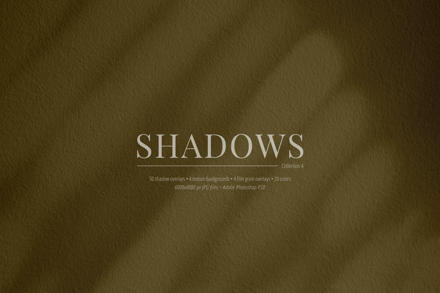 50 Shadow Overlays 04 Windows, Blinds, Botanical, Plants, Leaves, Branches - Aesthetic Abstract Backgrounds