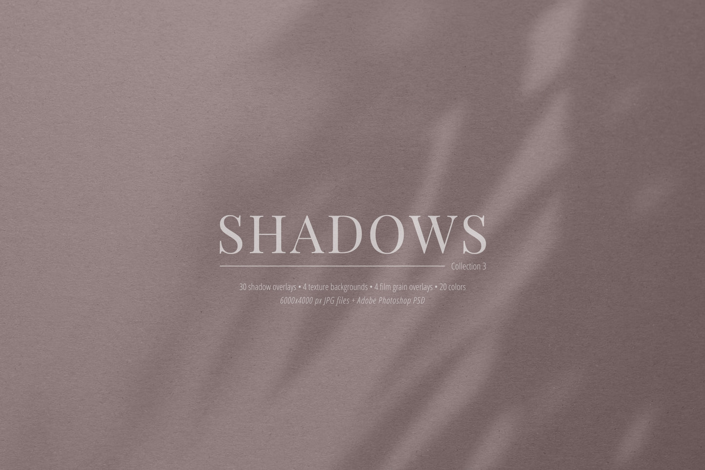 30 SHADOW OVERLAYS 03 Botanical Shadows Plants Branches Leaves