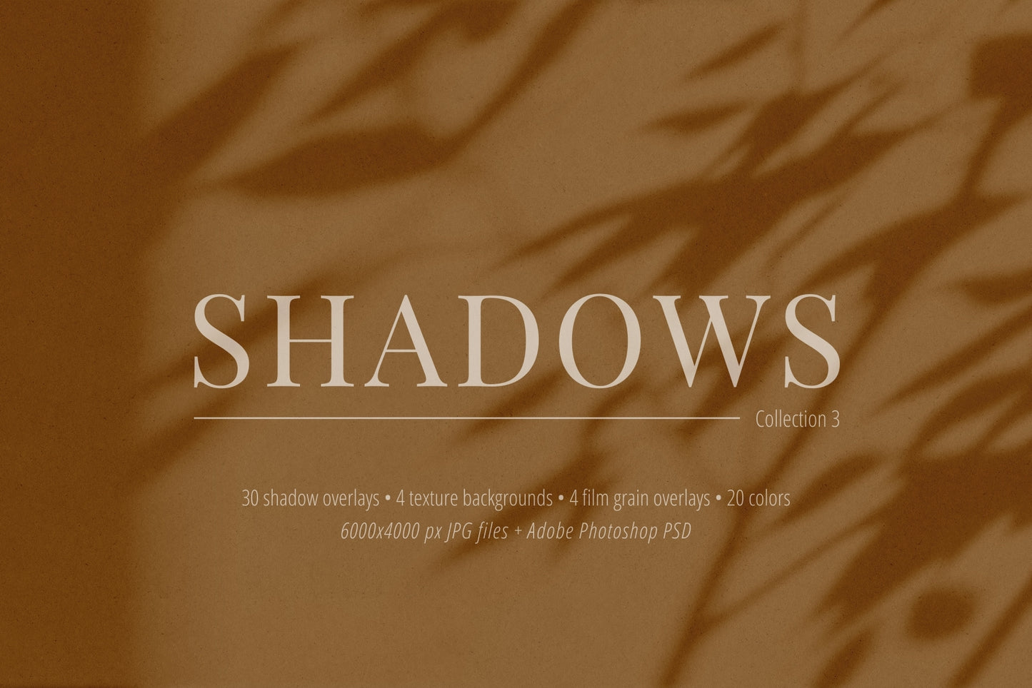 30 SHADOW OVERLAYS 03 Botanical Shadows Plants Branches Leaves