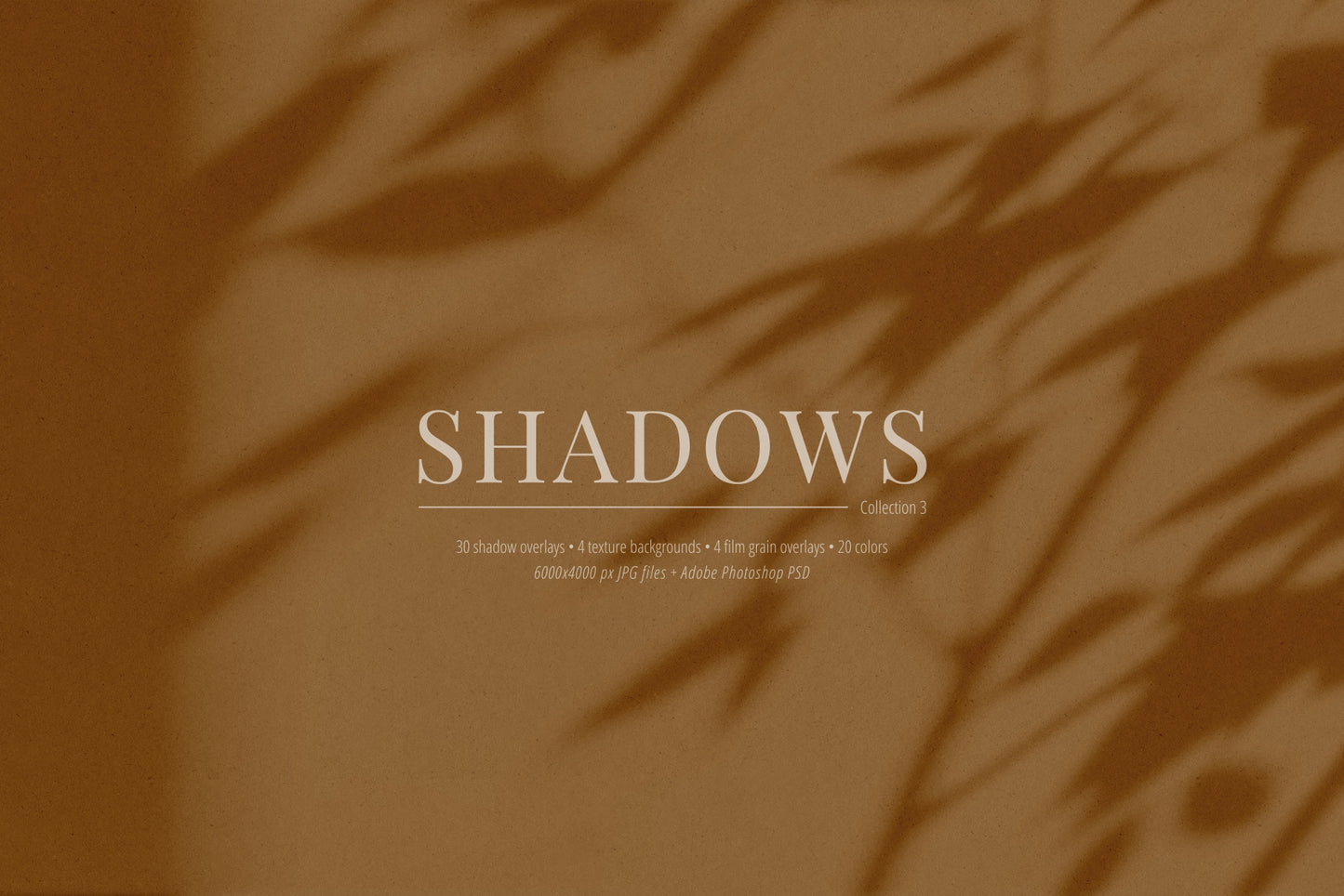 30 SHADOW OVERLAYS 03 Botanical Shadows Plants Branches Leaves
