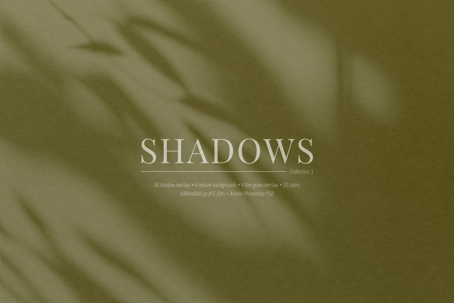 30 SHADOW OVERLAYS 03 Botanical Shadows Plants Branches Leaves
