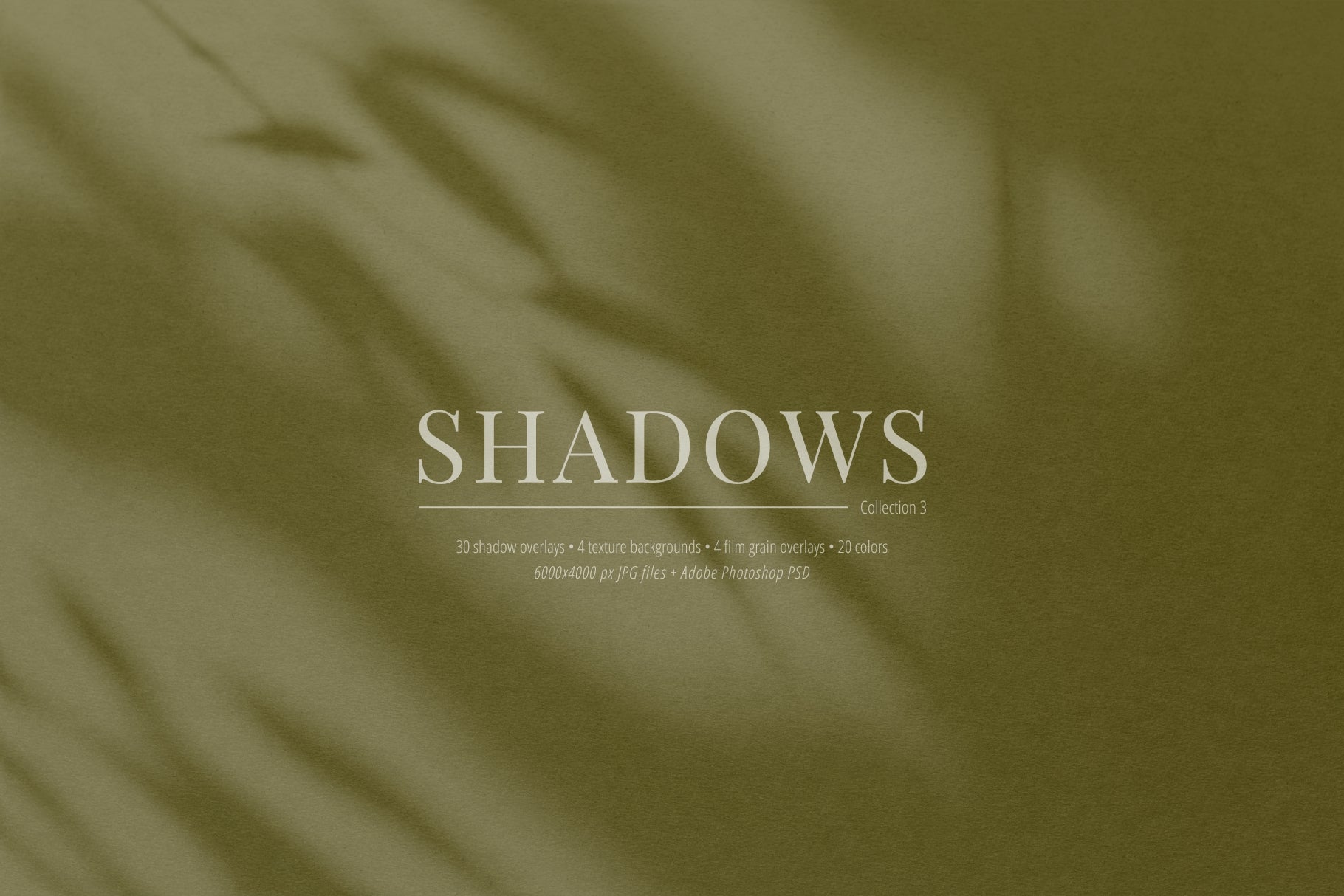 30 SHADOW OVERLAYS 03 Botanical Shadows Plants Branches Leaves