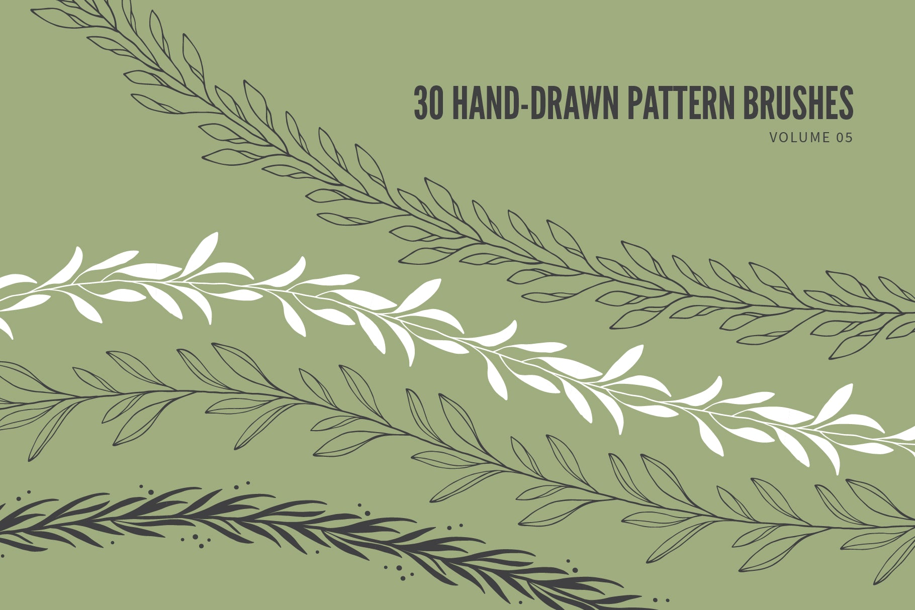 Hand Drawn Vector Pattern Brushes 05 Botanical Floral Leaves Branches Foliage